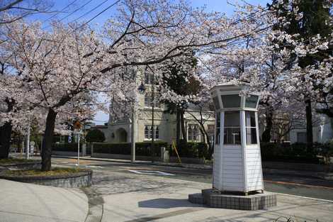 元町公園の画像