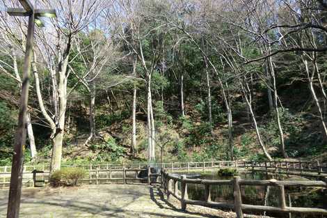 獅子ケ谷市民の森 川崎 鶴見 観光公園 歴史公園 の施設情報 いつもnavi