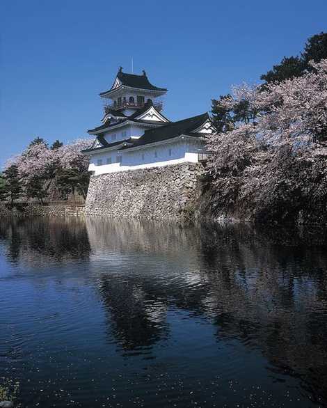 富山市郷土博物館 富山市郷土博物館の画像