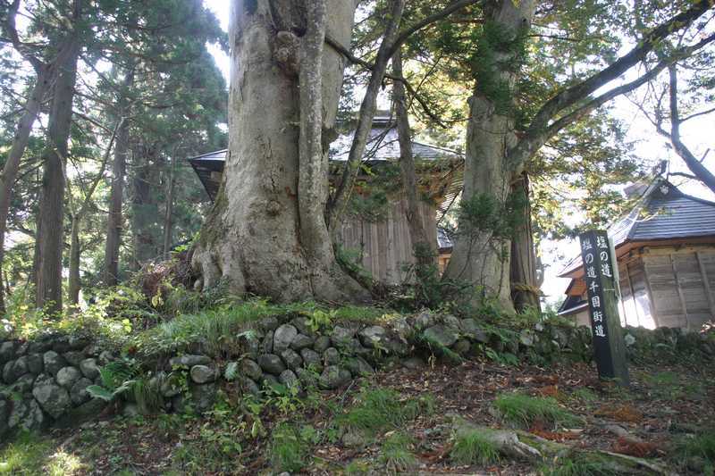 千国諏訪神社の画像