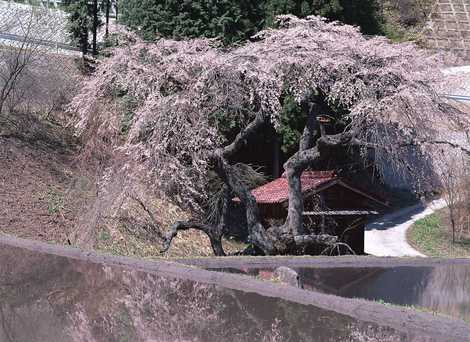 一石栃白木改番所跡の画像