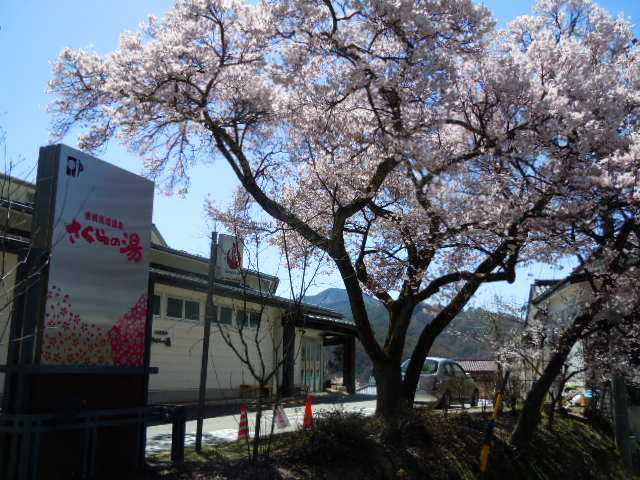 信州高遠温泉さくらの湯の画像