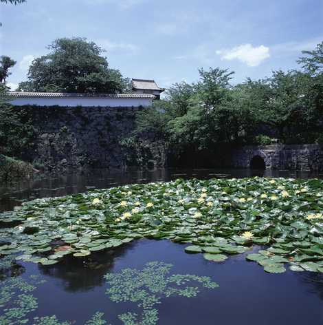 福岡城跡 福岡城跡の画像
