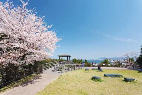 西公園 西公園の画像