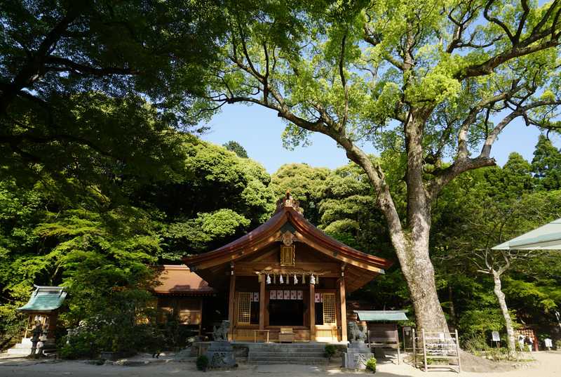 竈門神社の画像