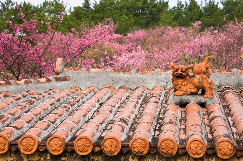 名護城公園の画像