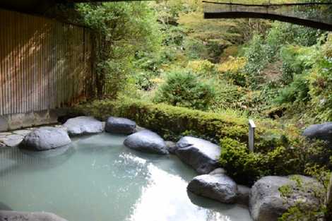 湯遊の里仙石原南甫園の画像