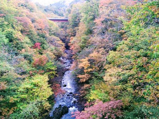 五色渓谷 北海道 帯広 然別湖 日高 の紅葉情報 紅葉特集19 ドコモ地図ナビ