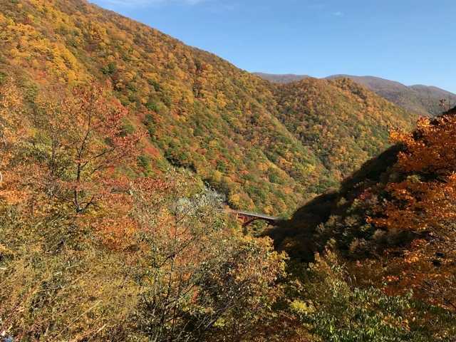 仙人峠 岩手県 陸中海岸南部 の紅葉情報 紅葉特集 ドコモ地図ナビ