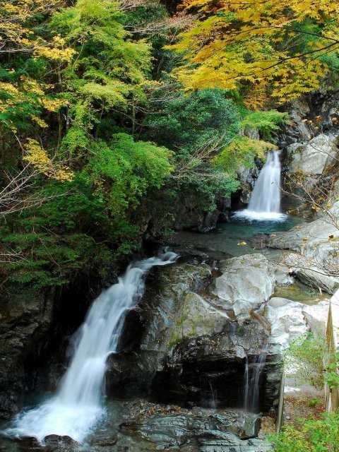 白倉峡 静岡県 浜松 浜名湖 佐久間 の紅葉情報 紅葉特集 ドコモ地図ナビ