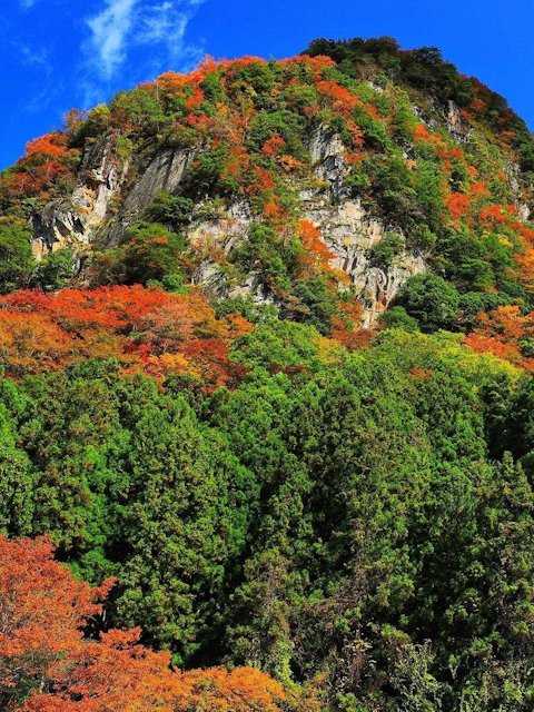 香落渓(三重県/伊賀・青山高原)の紅葉情報  紅葉特集2020  ドコモ 