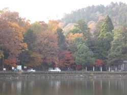 滋賀県の紅葉スポット情報 名所 見頃 紅葉特集 1ページ目 いつもnavi