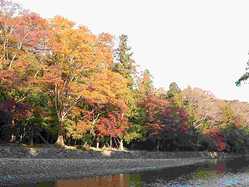 三重県の紅葉スポット情報 名所 見頃 紅葉特集 1ページ目 いつもnavi