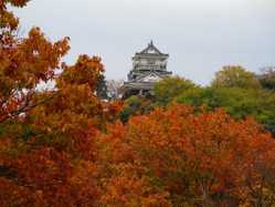 浜松城公園の紅葉スポット情報 地図 見ごろ ゼンリンいつもnavi