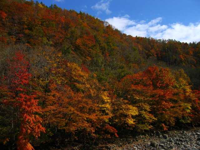 葛根田渓谷 岩手県 盛岡 岩手山 の紅葉情報 紅葉特集 ドコモ地図ナビ