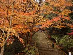 奈良県の紅葉スポット情報 名所 見頃 紅葉特集 1ページ目 いつもnavi