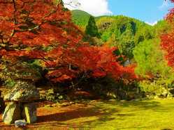 山口県の紅葉スポット情報 名所 見頃 紅葉特集22 1ページ目 いつもnavi