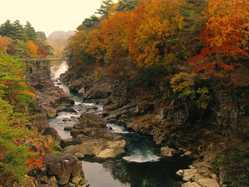 岩手県の紅葉スポット情報 名所 見頃 紅葉特集 1ページ目 いつもnavi