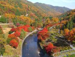 伊那 天竜峡の紅葉スポット情報 名所 見頃 紅葉特集 1ページ目 いつもnavi