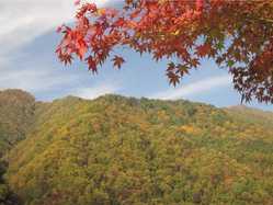 松川渓谷 片桐松川 の紅葉スポット情報 地図 見ごろ ゼンリンいつもnavi