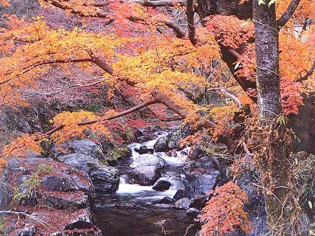 桐生川上流 群馬県 桐生 渡良瀬 館林 の紅葉情報 紅葉特集 ドコモ地図ナビ