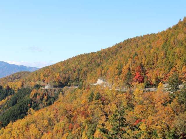 御嶽パノラマライン 岐阜県 飛騨高山 下呂温泉 の紅葉情報 紅葉特集19 ドコモ地図ナビ