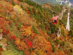 三重県の紅葉スポット情報 名所 見頃 紅葉特集 1ページ目 いつもnavi