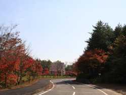 岡山県の紅葉スポット情報 名所 見頃 紅葉特集 1ページ目 いつもnavi