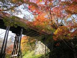 伊那 天竜峡の紅葉スポット情報 名所 見頃 紅葉特集 1ページ目 いつもnavi