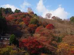 奈良の紅葉スポット情報 名所 見頃 紅葉特集 いつもnavi