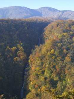 宮城県の紅葉スポット情報 名所 見頃 紅葉特集 1ページ目 いつもnavi