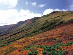 宮城県の紅葉スポット情報 名所 見頃 紅葉特集 1ページ目 いつもnavi