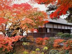 宮城県の紅葉スポット情報 名所 見頃 紅葉特集 1ページ目 いつもnavi