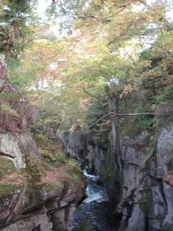 宮城県の紅葉スポット 紅葉特集 ドコモ地図ナビ