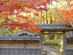 福井県の紅葉スポット情報 名所 見頃 紅葉特集 1ページ目 いつもnavi