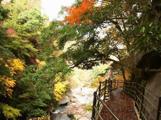 鬼の舌震 島根県 出雲 奥出雲 の紅葉情報 紅葉特集19 ドコモ地図ナビ