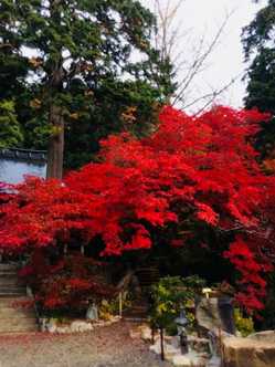 丹波篠山市の紅葉スポット情報 名所 見頃 紅葉特集22 1ページ目 いつもnavi