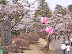 小山 佐野 足利の桜が見頃な花見スポット 見頃情報 開花予想 桜 お花見特集21 1ページ目 いつもnavi