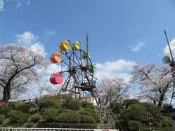 小山 佐野 足利の桜が見頃な花見スポット 見頃情報 開花予想 桜 お花見特集21 1ページ目 いつもnavi