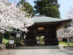 茨城県の桜が見頃な花見スポット 見頃情報 開花予想 桜 お花見特集22 1ページ目 いつもnavi