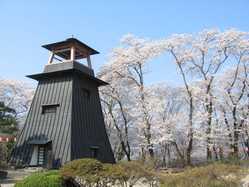 群馬県夜桜 ライトアップのある花見スポット 見頃情報 開花予想 21 1ページ目 ゼンリンいつもnavi