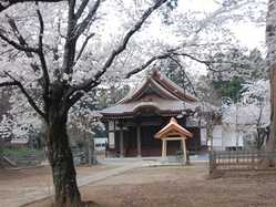 茨城県の桜が見頃な花見スポット 見頃情報 開花予想 桜 お花見特集22 1ページ目 いつもnavi