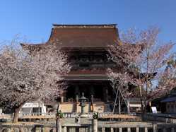 奈良県夜桜 ライトアップのある花見スポット 見頃情報 開花予想 21 1ページ目 ゼンリンいつもnavi