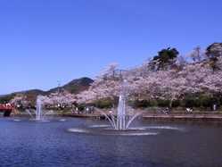 福岡県夜桜 ライトアップのある花見スポット 見頃情報 開花予想 21 1ページ目 ゼンリンいつもnavi