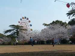 柳川 大牟田 筑後の桜が見頃な花見スポット 見頃情報 開花予想 桜 お花見特集21 1ページ目 いつもnavi