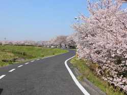 岡山県の桜が見頃な花見スポット 見頃情報 開花予想 桜 お花見特集21 1ページ目 いつもnavi