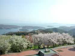 岡山県の桜が見頃な花見スポット 見頃情報 開花予想 桜 お花見特集21 1ページ目 いつもnavi