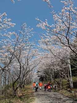 宮崎県の桜が見頃な花見スポット 見頃情報 開花予想 桜 お花見特集21 1ページ目 いつもnavi