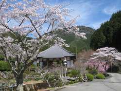 兵庫県の桜が見頃な花見スポット 見頃情報 開花予想 桜 お花見特集21 1ページ目 いつもnavi