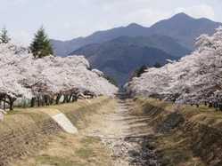 兵庫県の桜が見頃な花見スポット 見頃情報 開花予想 桜 お花見特集21 1ページ目 いつもnavi